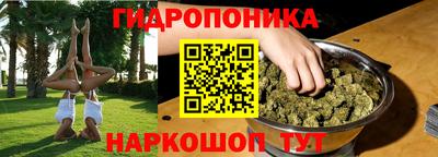 прущие крисы Магадан