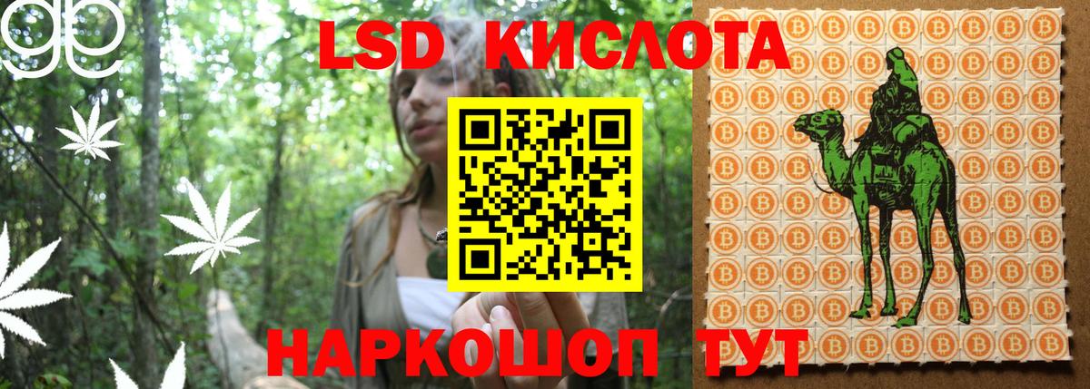 Наркотические марки 1500мкг Выборг