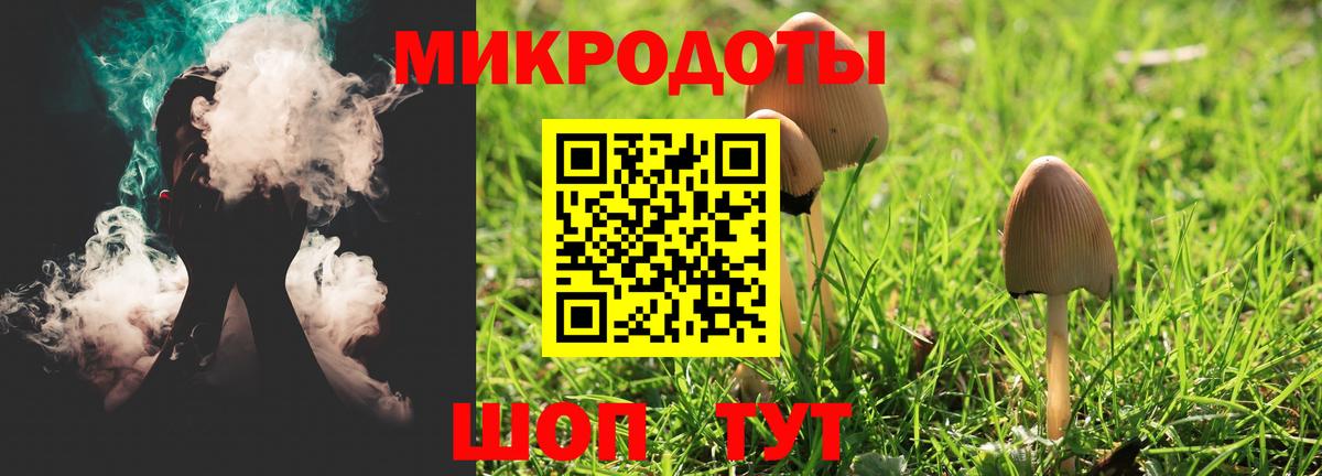 Галлюциногенные грибы Cubensis  Вход с VPN  Выборг 