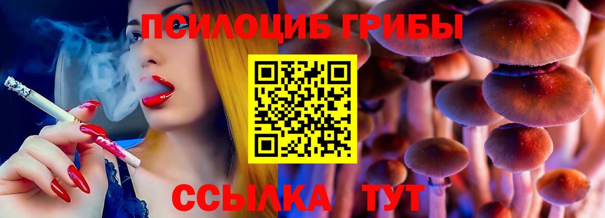 Псилоцибиновые грибы ЛСД Выборг