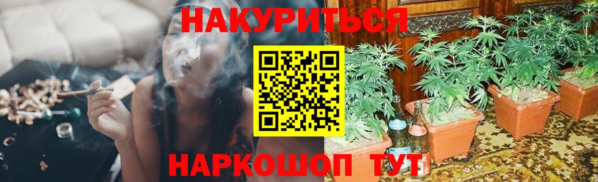 Выборг  Канабис White Widow  Шишки марихуана LSD WEED  Бошки марихуана план  Вход с VPN 